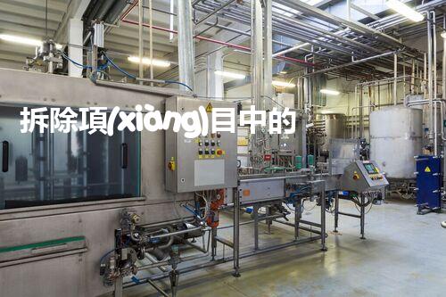 拆除項(xiàng)目中的隱秘藝術(shù)：從規(guī)劃到執(zhí)行的全程揭秘！